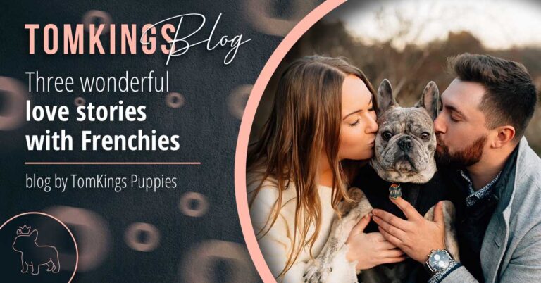 Three wonderful love stories with Frenchies - TomKings Blog