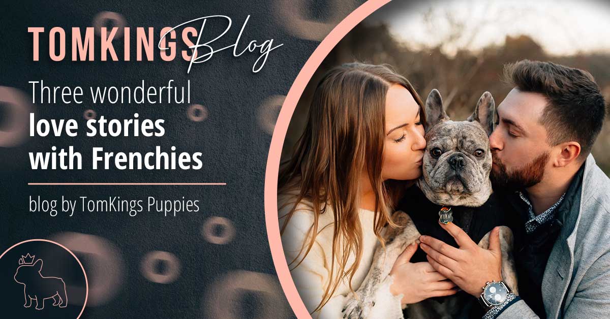 Three wonderful love stories with Frenchies - TomKings Blog