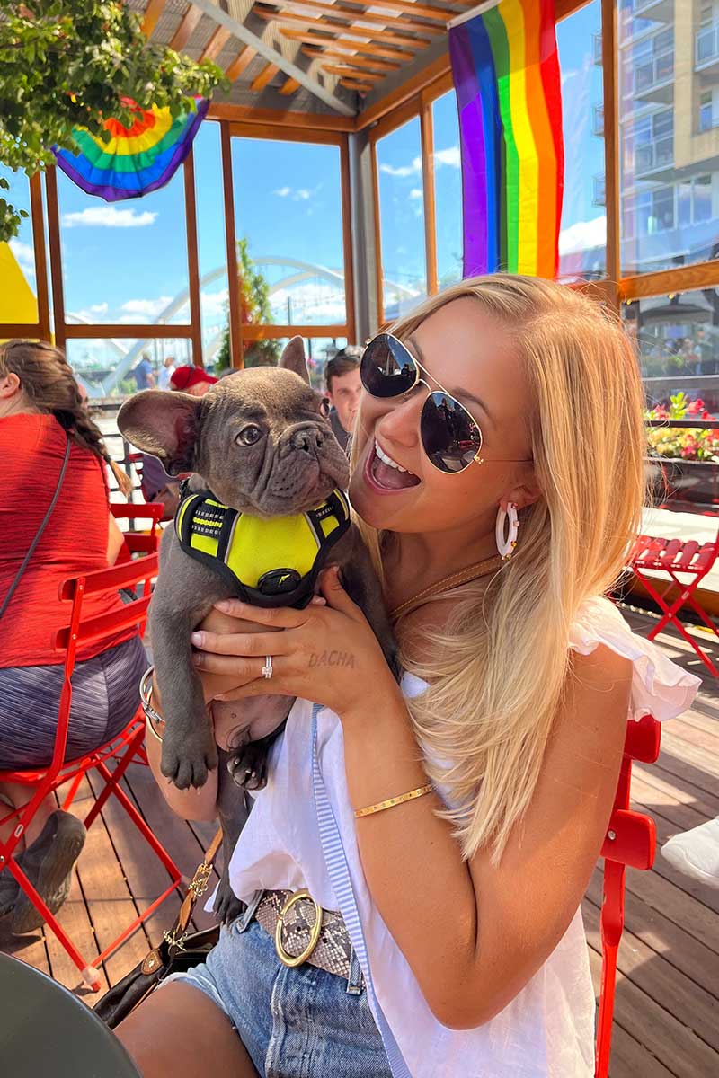 TomKings Puppies reference french bulldog