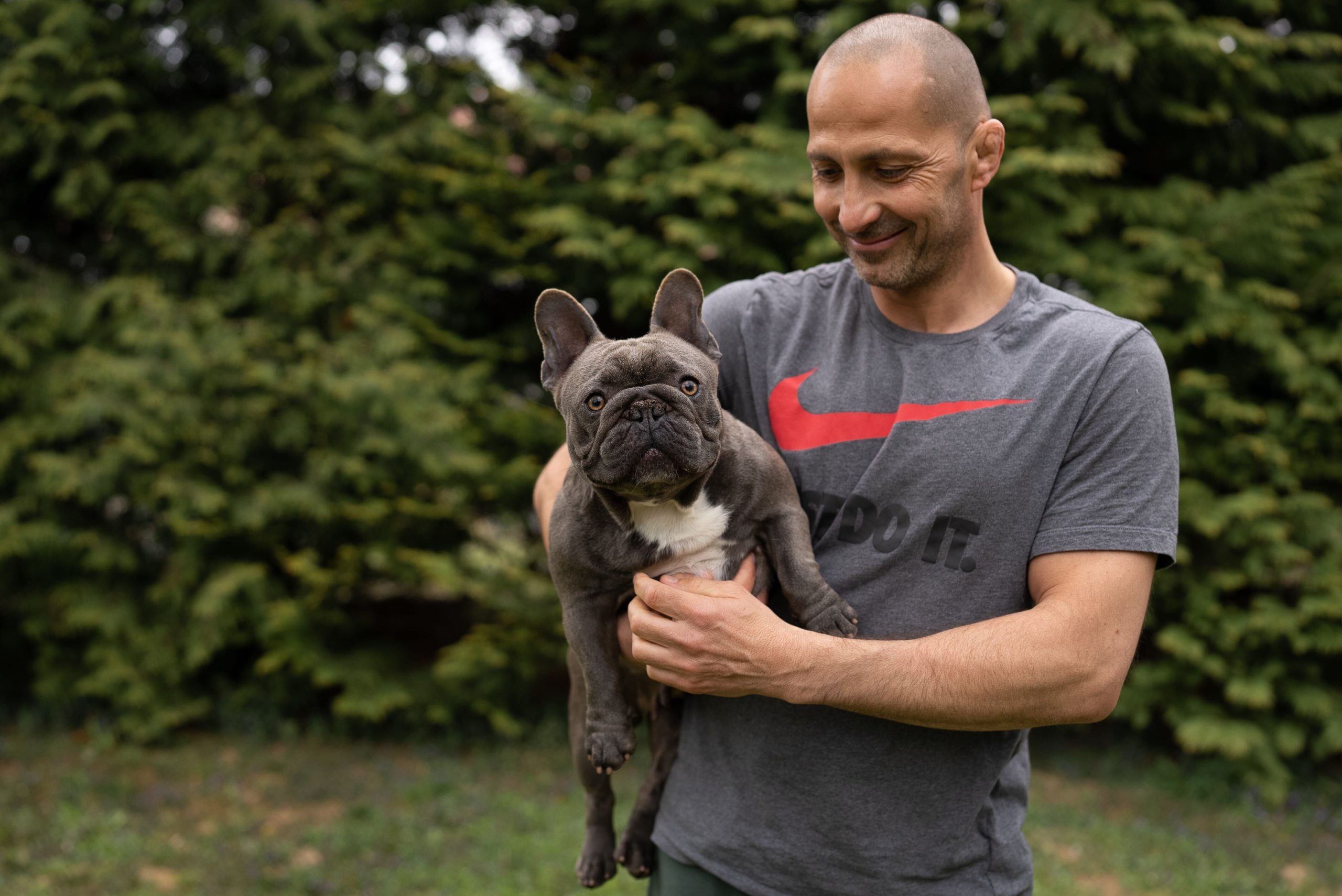 Boy or Girl Frenchie? We help you decide! - TomKings Blog