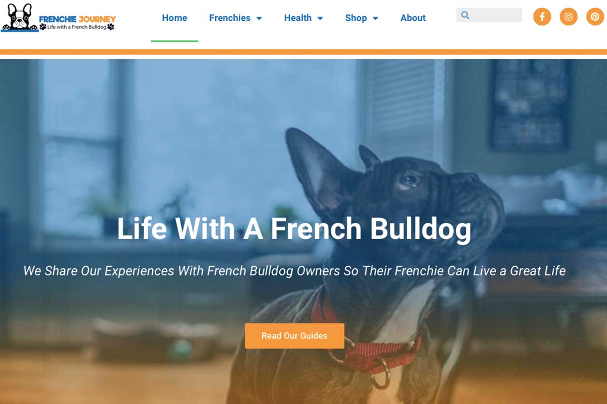 How a Frenchie parent created a successful Frenchie website? - TomKings Blog