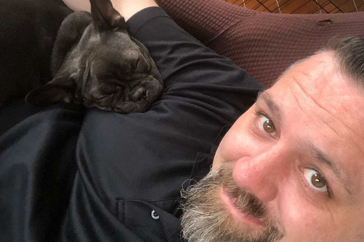 How a Frenchie parent created a successful Frenchie website? - TomKings Blog