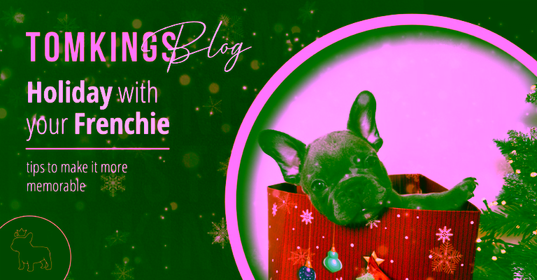Holiday with your Frenchie - tips to make it more memorable - TomKings Blog