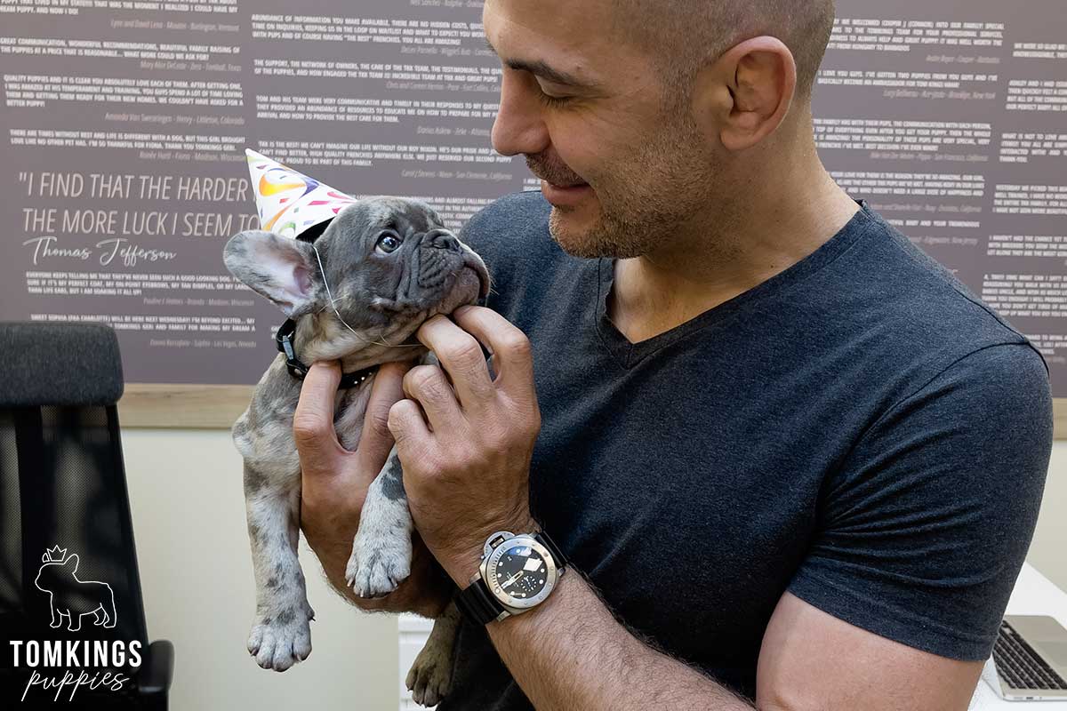 Meet the Team of TomKings Puppies - TomKings Blog