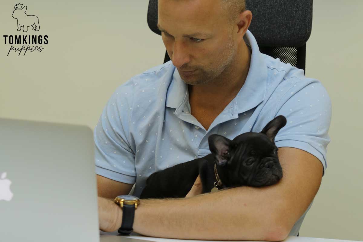 Meet the Team of TomKings Puppies - TomKings Blog