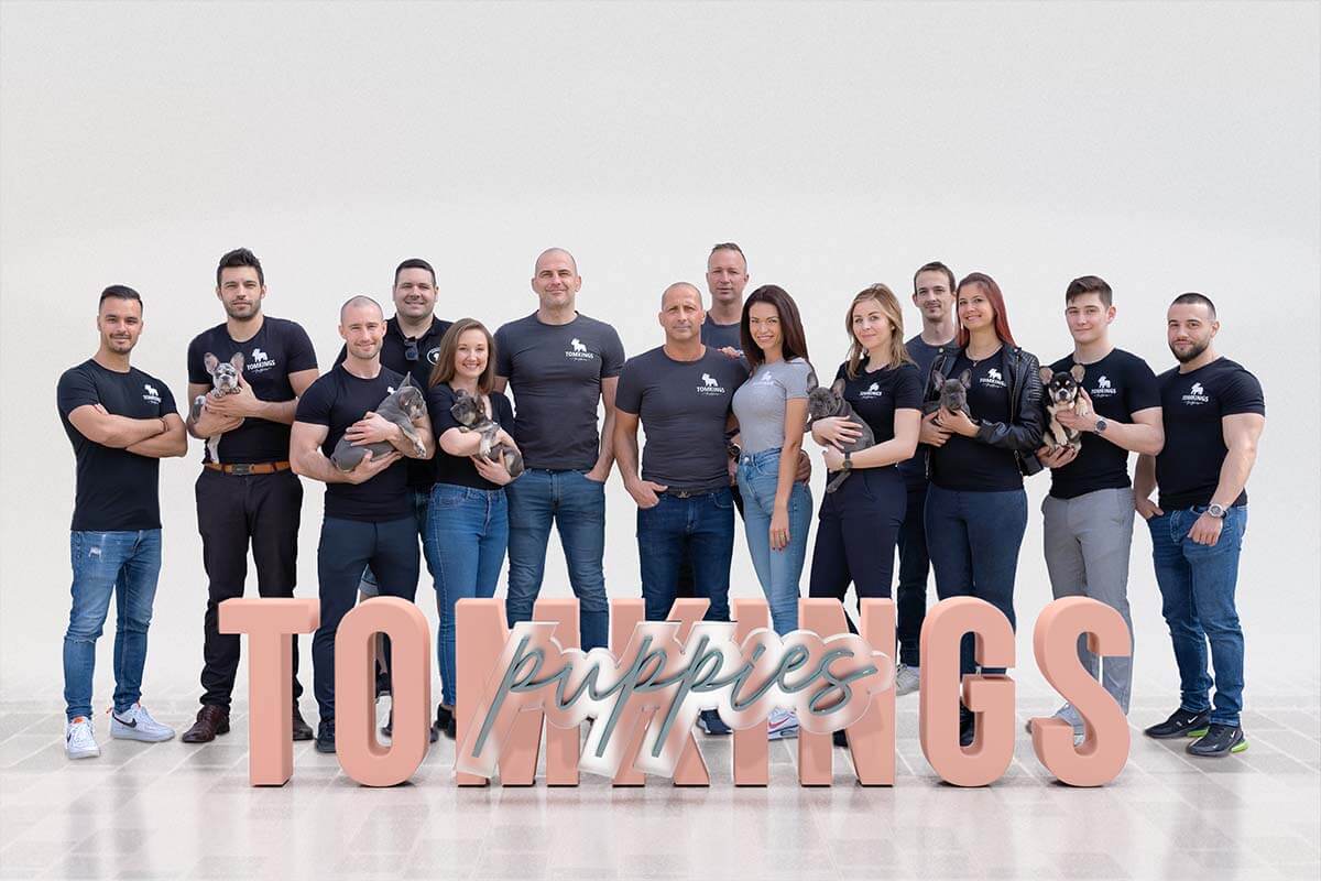 Meet the Team of TomKings Puppies - TomKings Blog