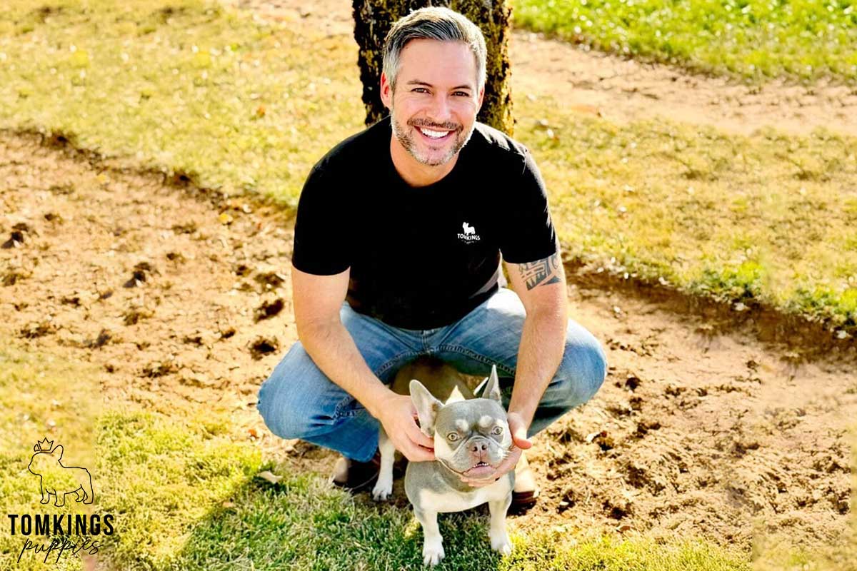 Meet the Team of TomKings Puppies - Toby