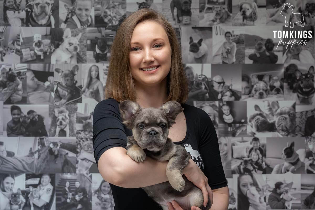 Meet the Team of TomKings Puppies - TomKings Blog