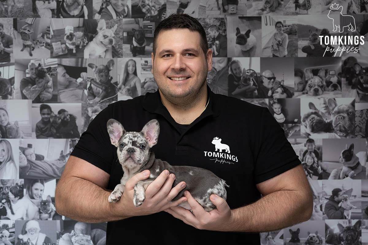 Meet the Team of TomKings Puppies - TomKings Blog