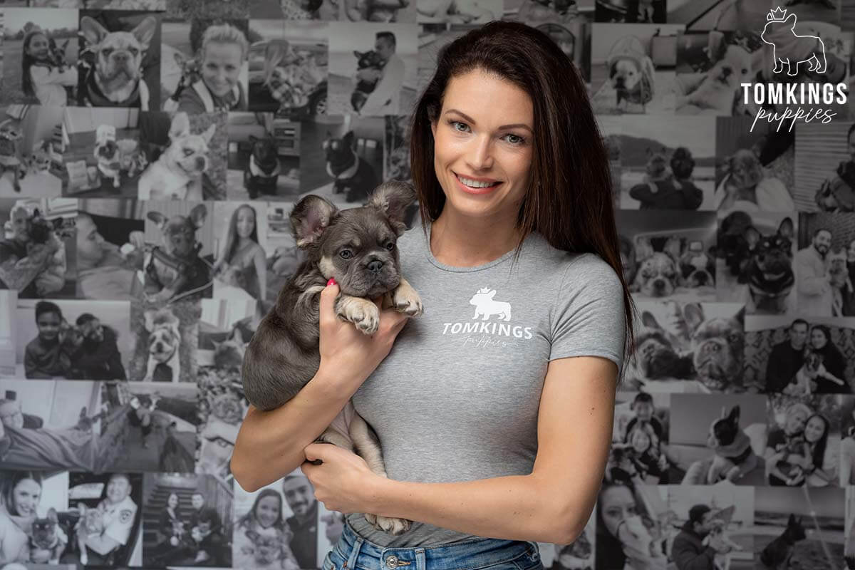 Meet the Team of TomKings Puppies - TomKings Blog