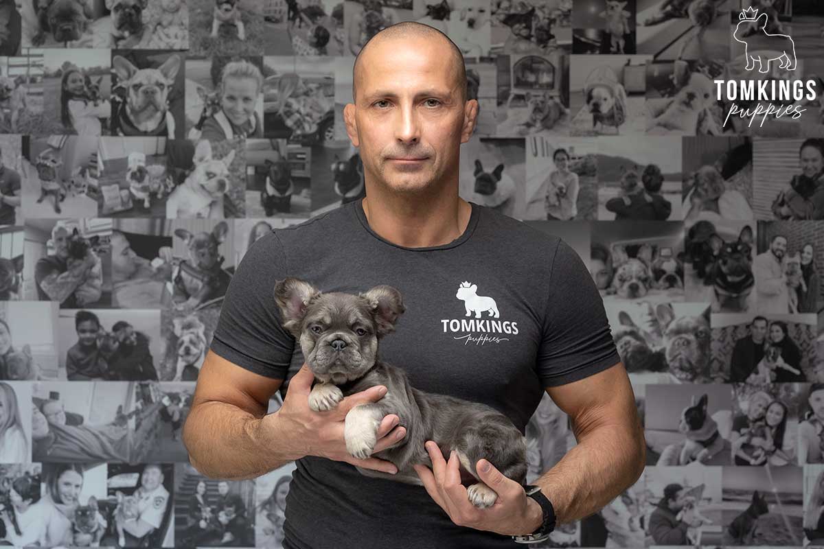 Meet the Team of TomKings Puppies - TomKings Blog