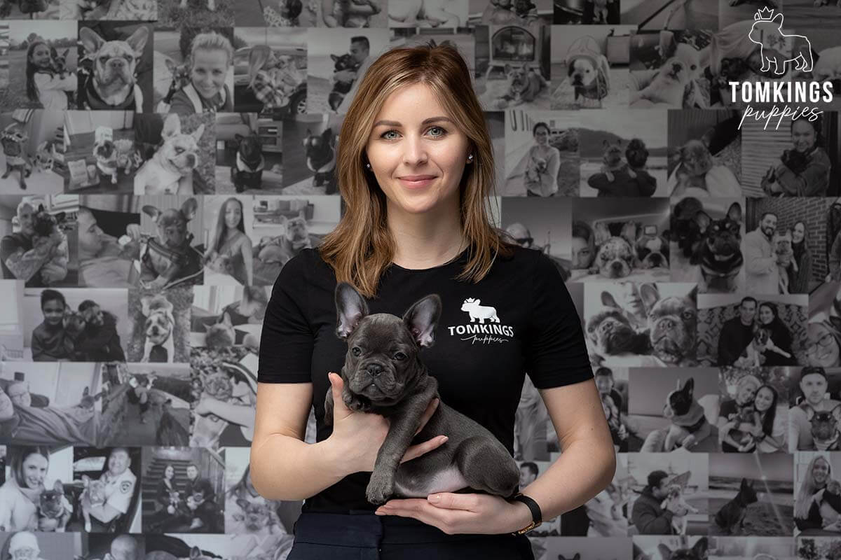 Meet the Team of TomKings Puppies - TomKings Blog