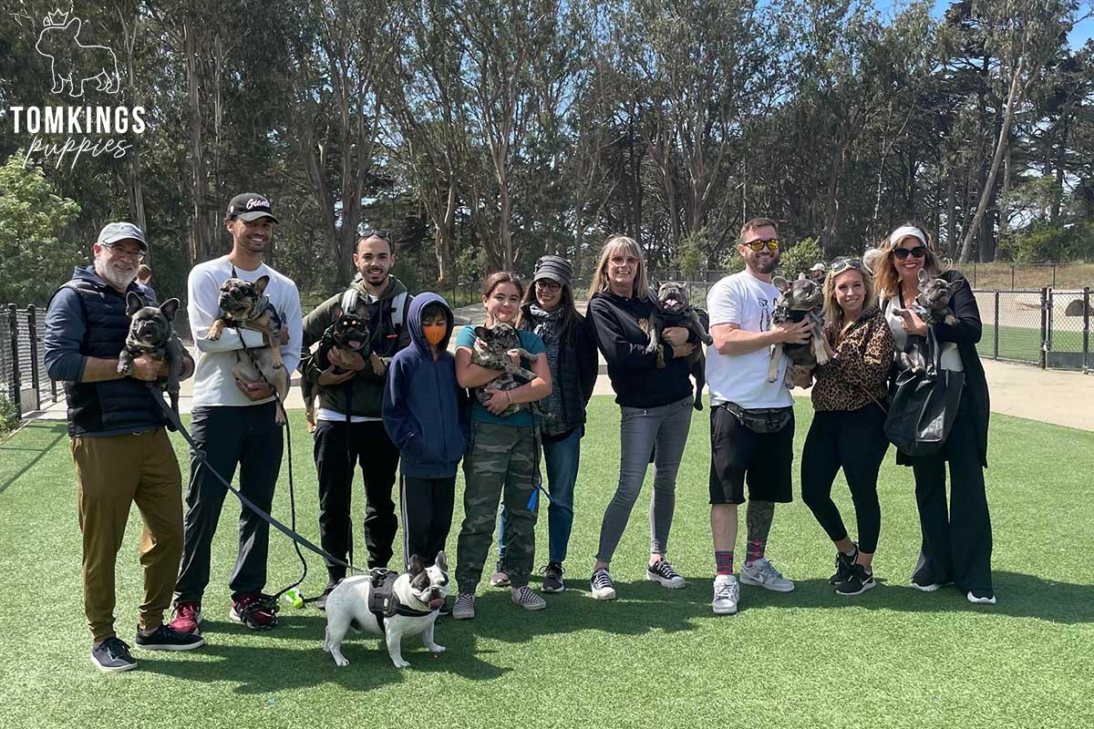 Building a strong Frenchie community – TomKings Frenchie Meetups - TomKings Blog