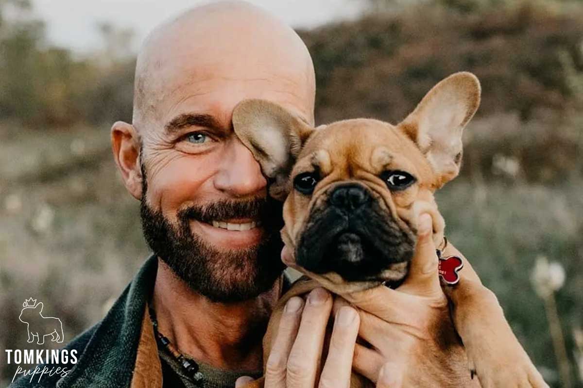 Is it safe to buy a Frenchie overseas? TomKings parents share their views - TomKings Blog