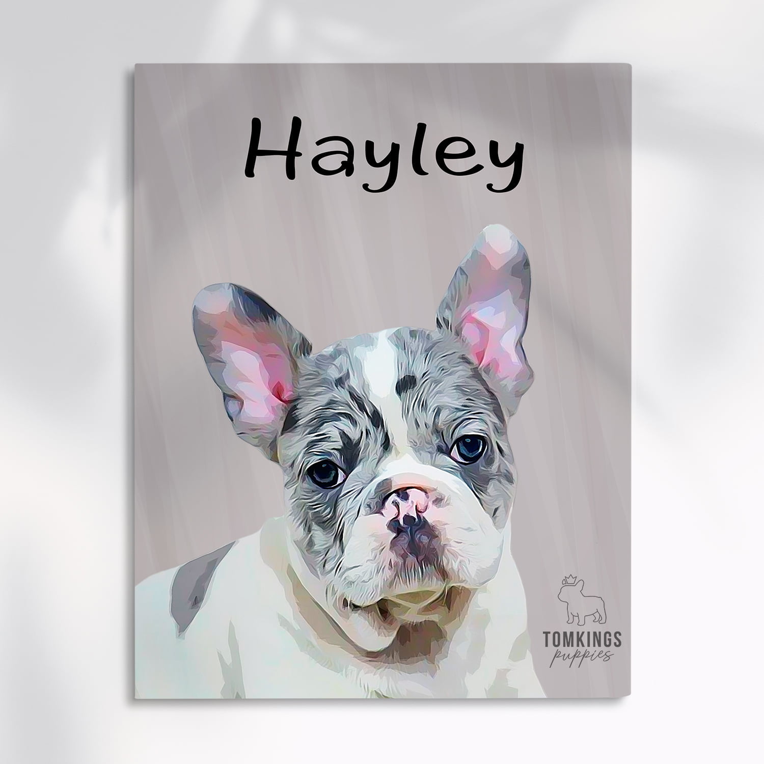Canvas Portrait French Bulldog TomKings Puppies