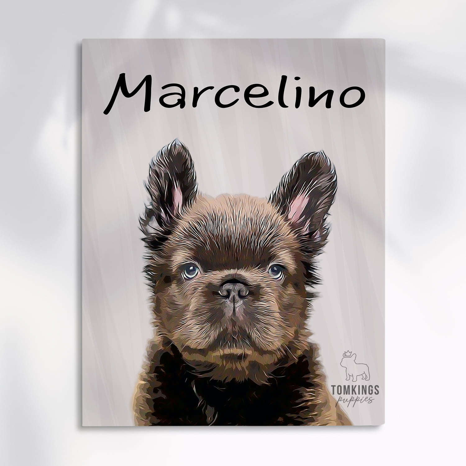 Canvas Portrait French Bulldog TomKings Puppies