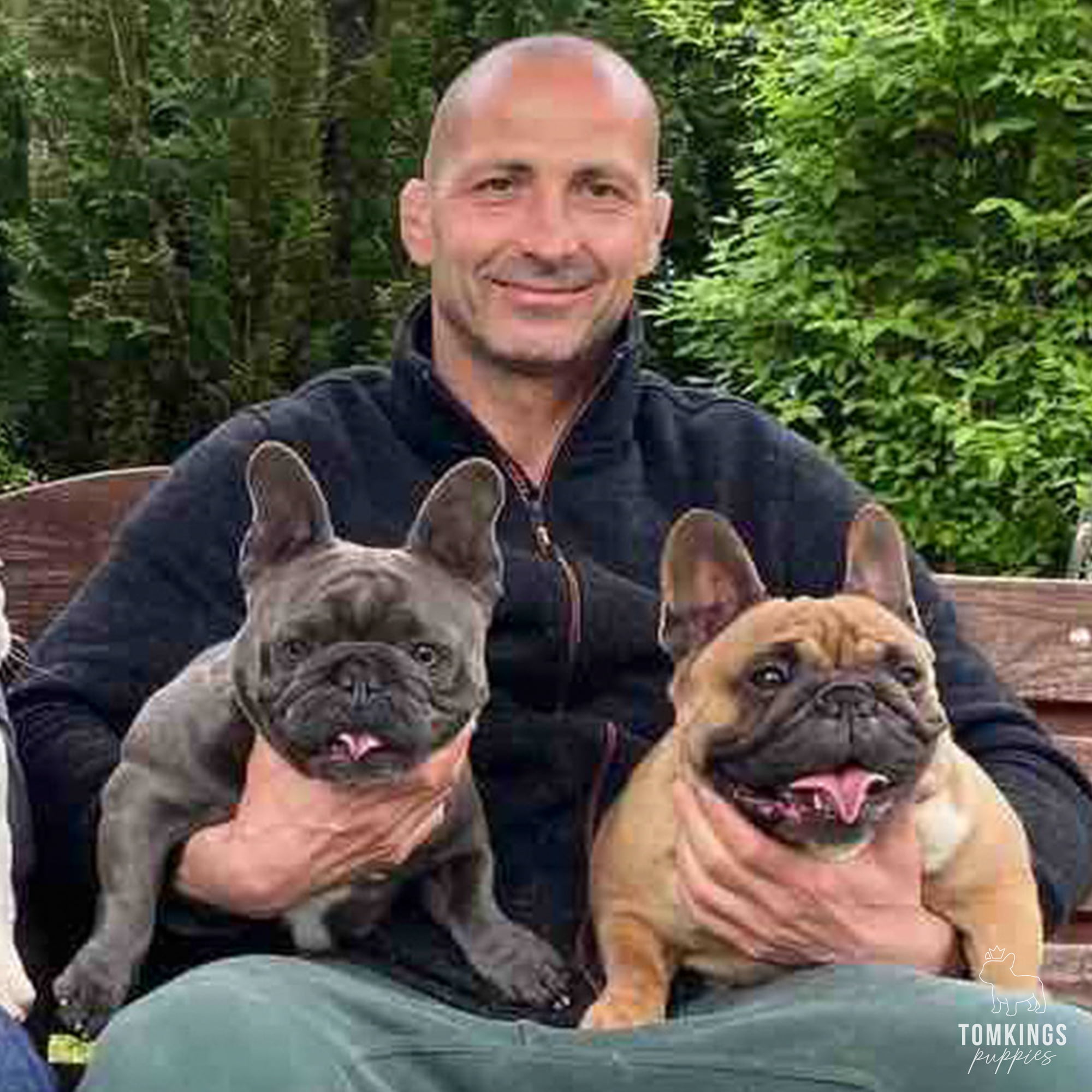 Small Dog Breeds for First Time Owners - The Most Comprehensive Guide - TomKings Puppies Blog