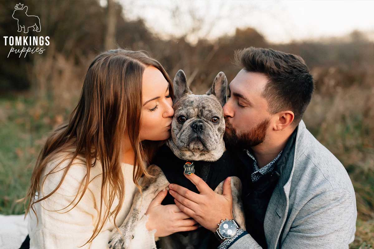 TomKings Frenchie