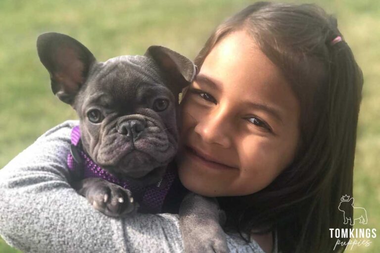 Happy Frenchie Family - TomKings Puppies