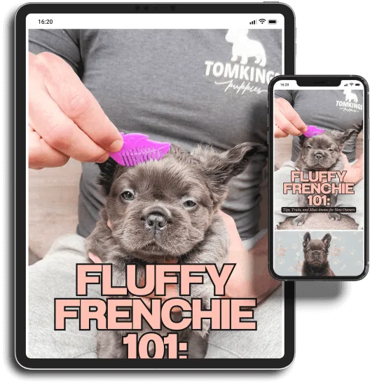 TomKings eBook - Fluffy Frenchie 101