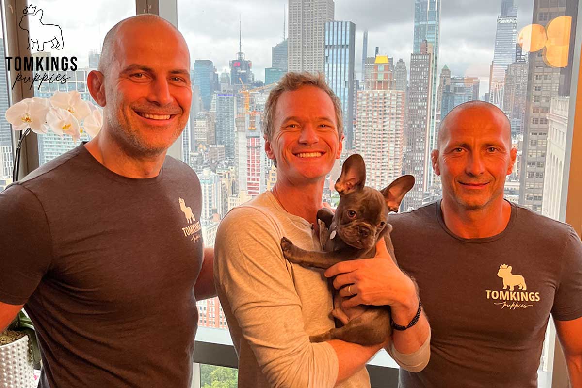 Neil Patrick Harris with his TomKings Frenchie, Chunk