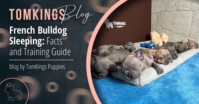French Bulldog Sleeping: Facts and Training Guide