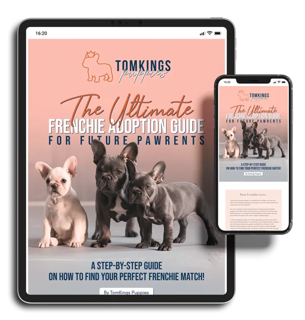 TomKings eBook - The Ultimate Frenchie Adoption Guide for Future Pawrents