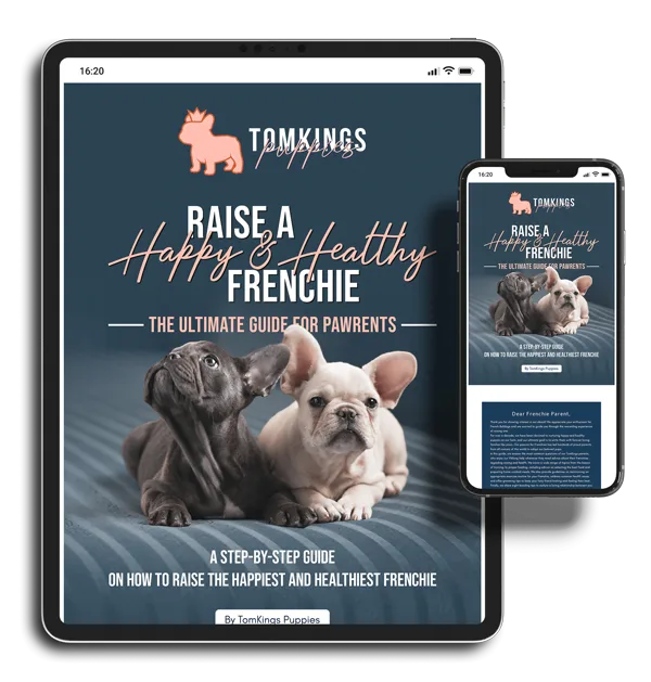 TomKings eBook - Raise a Happy and Healthy Frenchie — The Ultimate Guide for Pawrents