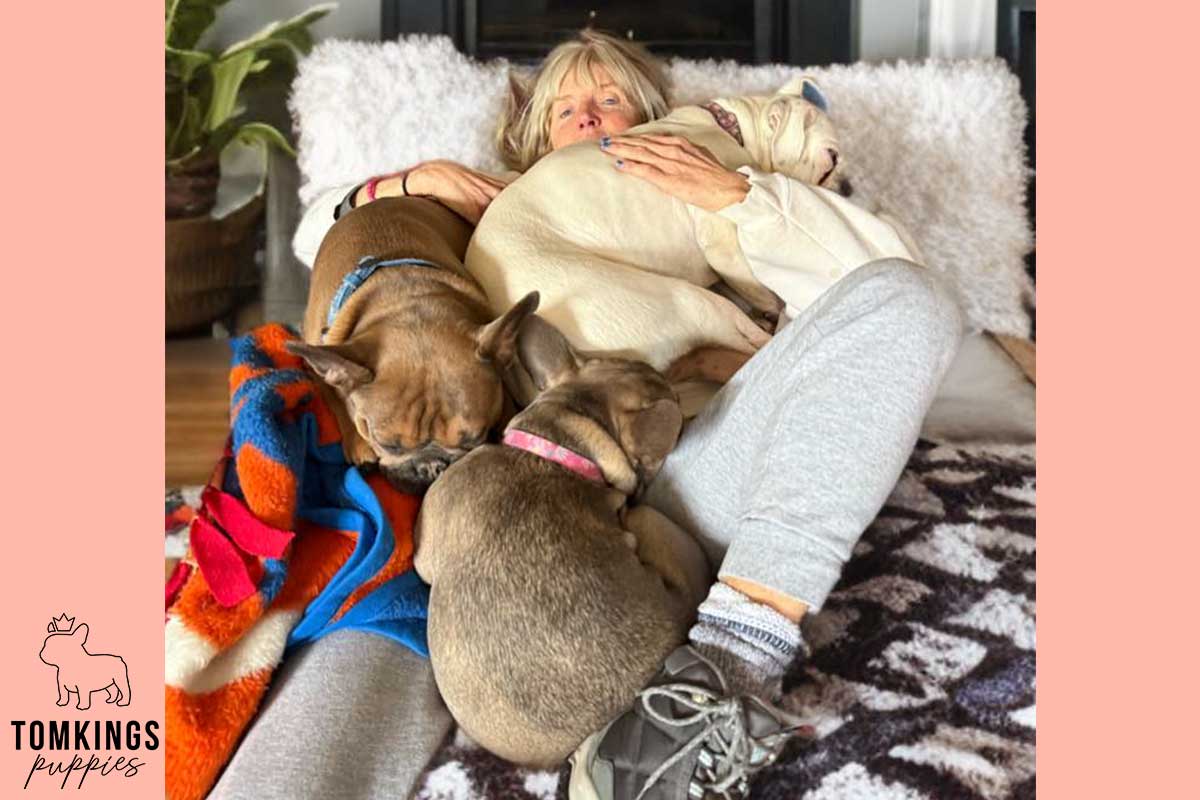 11 Unmistakable Signs Your Frenchie Loves You - TomKings Blog