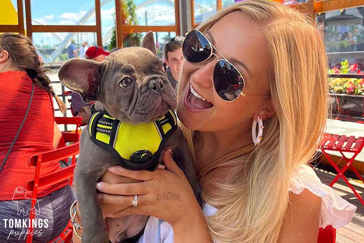 How To Get an ESA Letter for Your French Bulldog - TomKings Blog