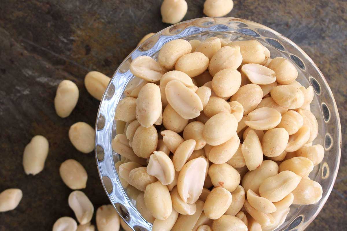 Can French Bulldogs Eat Nuts? - TomKings Puppies blog