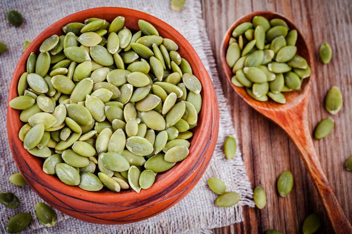Can French Bulldogs Eat Nuts? - TomKings Puppies blog