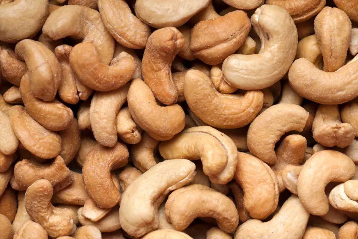 Can French Bulldogs Eat Nuts? - TomKings Puppies blog