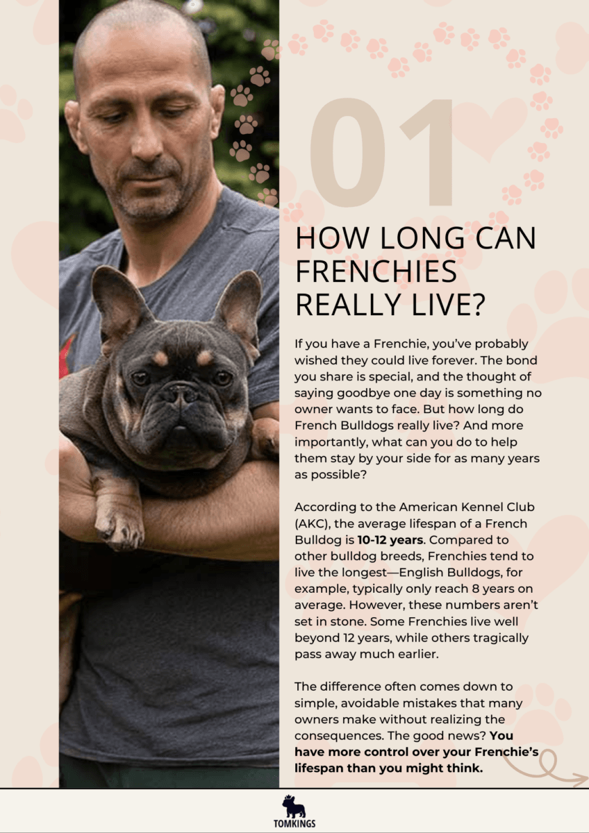 Avoid Deadly Mistakes: Add Years to Your Frenchie’s Life! - TomKings Puppies ebook