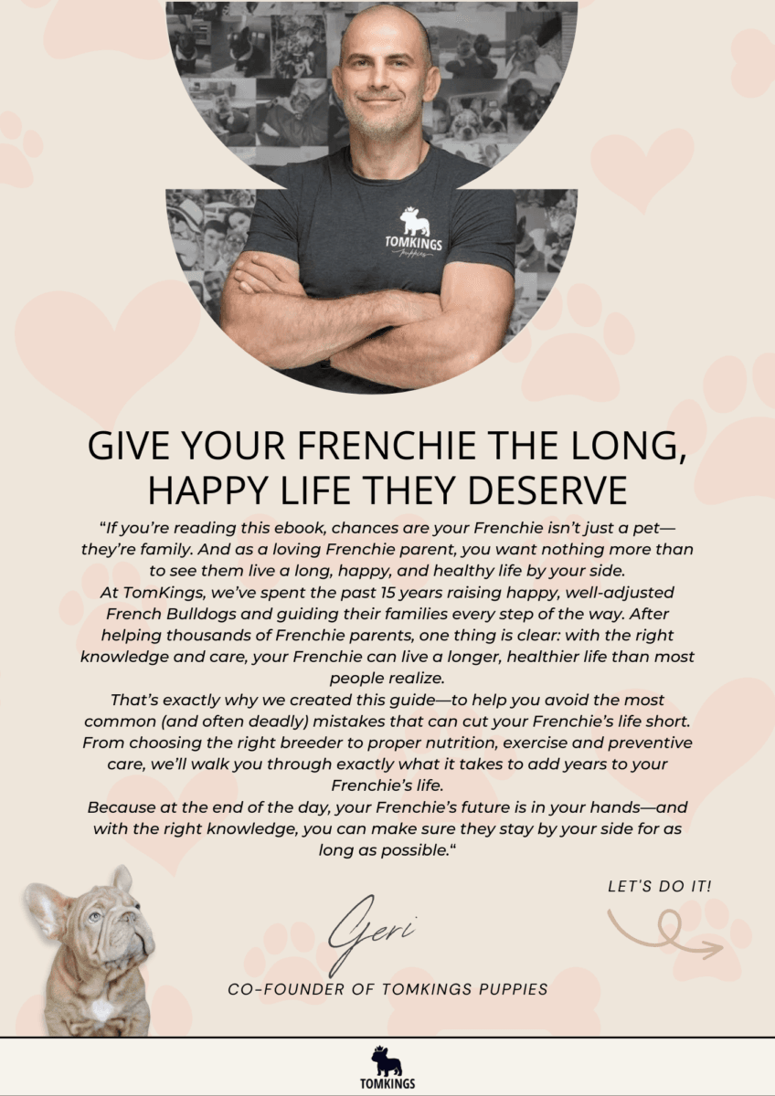 Avoid Deadly Mistakes: Add Years to Your Frenchie’s Life! - TomKings Puppies ebook