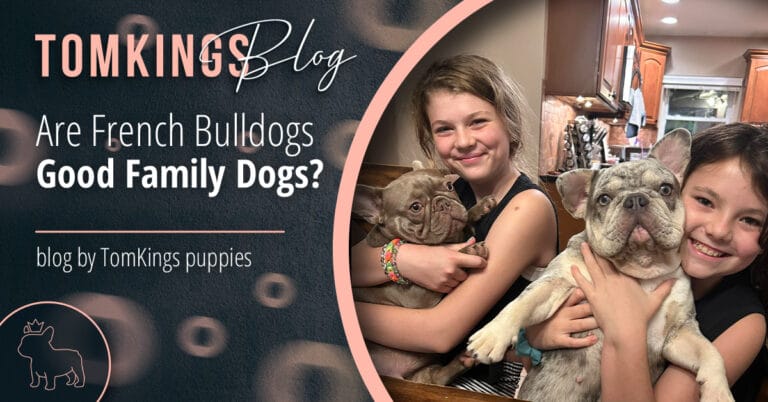 Are French Bulldogs Good Family Dogs?