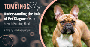 Understanding the Role of Pet Diagnostics in French Bulldog Health