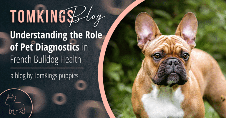 Understanding the Role of Pet Diagnostics in French Bulldog Health