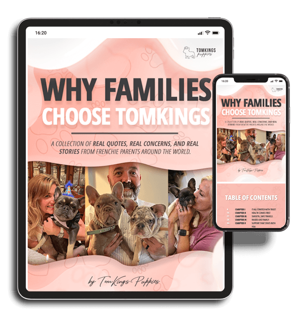 Why families choose TomKings - Free eBook resource on French Bulldog Adoption