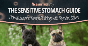 The Sensitive Stomach Guide: How to Support French Bulldogs with Digestive Issues
