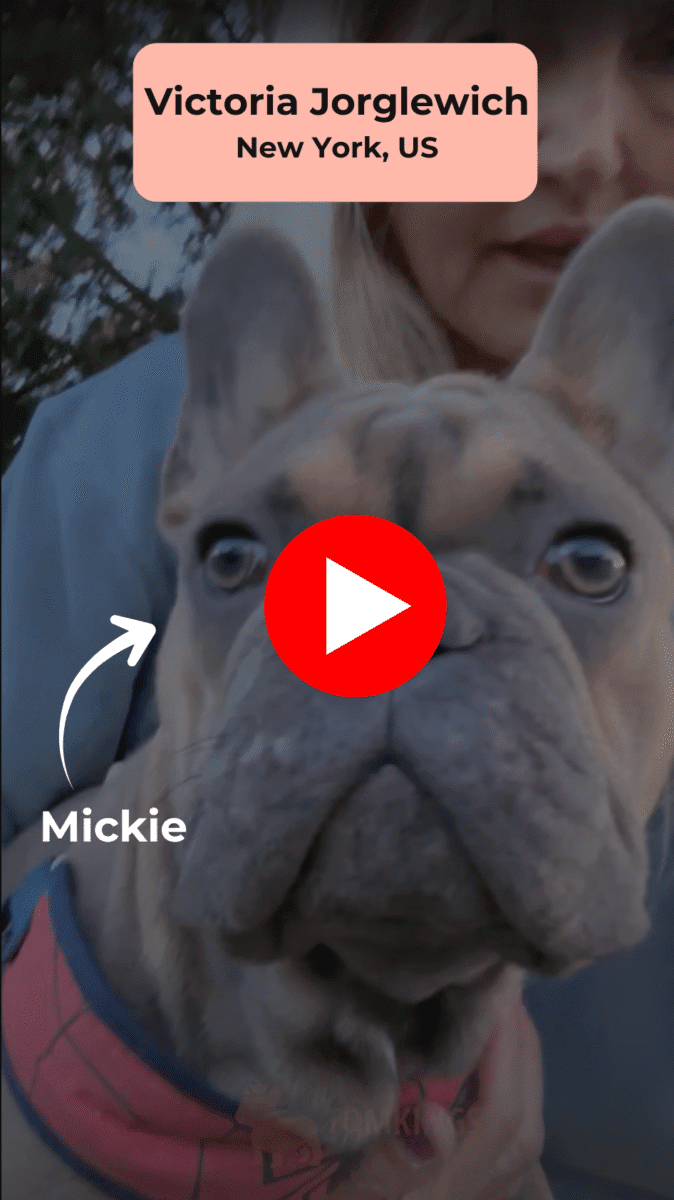 Victoria video poster