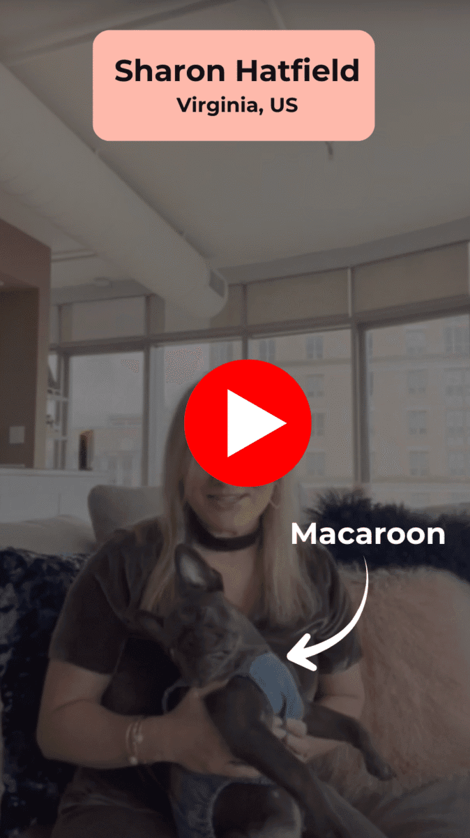 Sharon video poster