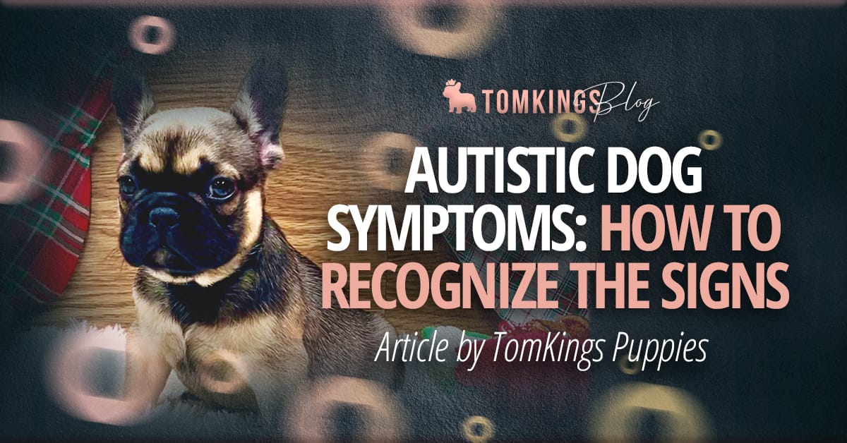 Autistic Dog Symptoms: How to Recognize the Signs