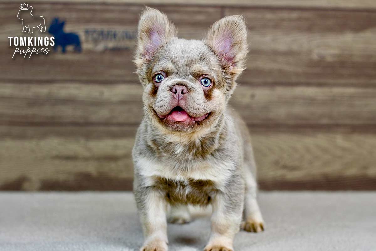 Georgia, the Gorgeous Girl