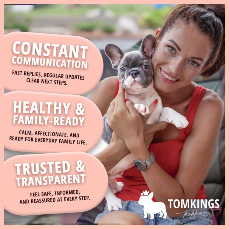 tomkings-services