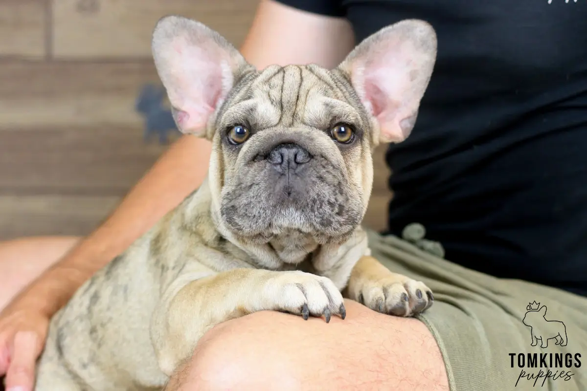 Horace, the Wrinkled Wonderboy