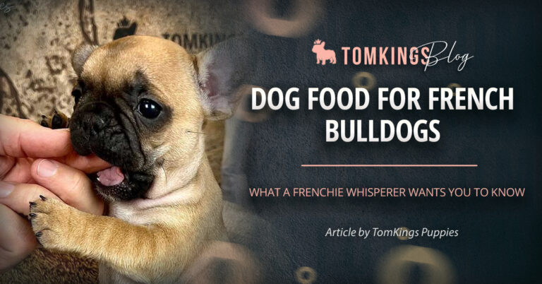 Dog Food for French Bulldogs: What a Frenchie Whisperer Wants You to Know