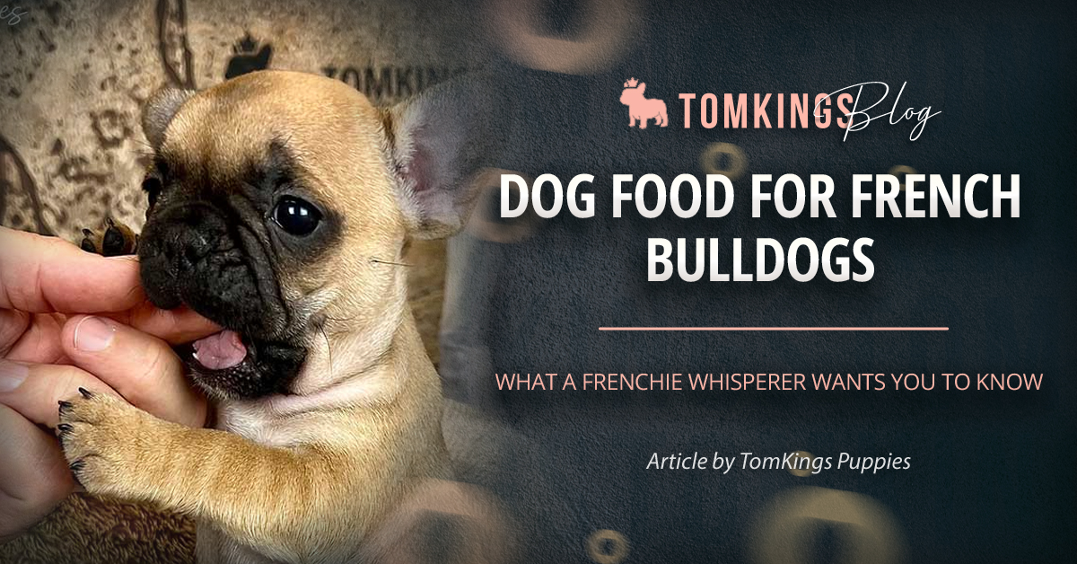 Dog Food for French Bulldogs: What a Frenchie Whisperer Wants You to Know