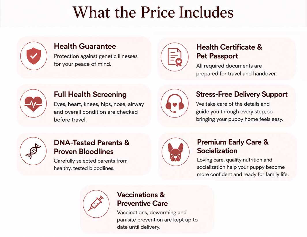 What the price includes