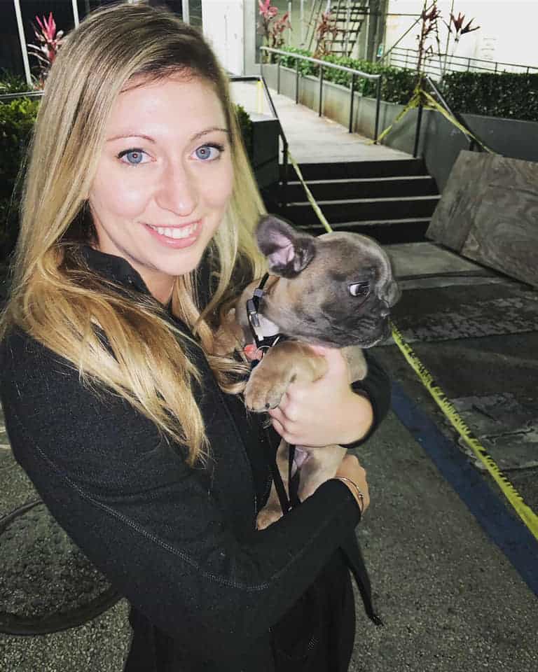 This is why Frenchie parents love Tomkings Puppies - TomKings Blog